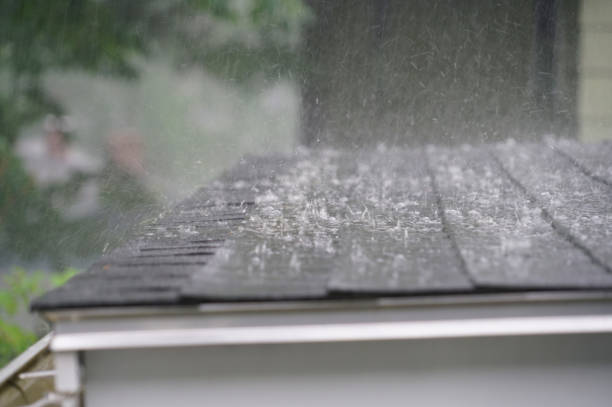 Best Sheet Metal Roofing  in Atlanta, TX